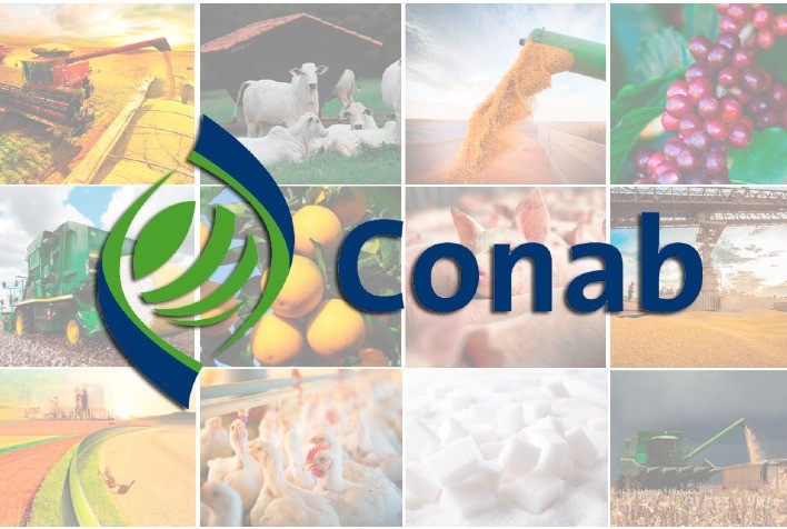 Contrato a Termo: Conab lança modalidade de leilão para abastecer pecuaristas