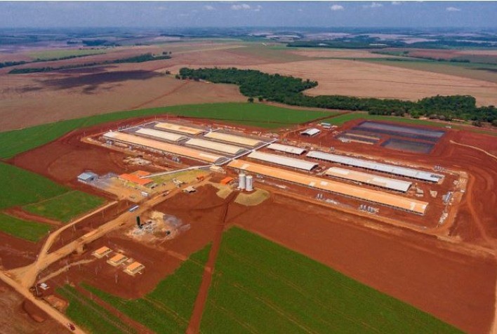 Novo status sanitário do Paraná completa um ano e impulsiona investimentos bilionários