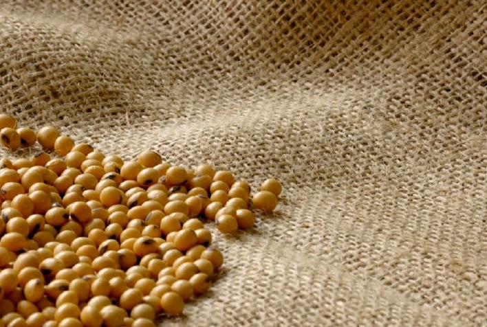 Embrapa Cerrados e Fundação Bahia fazem pré-lançamento de cultivar de soja resistente a estresse hídrico durante o Bahia Farm Show