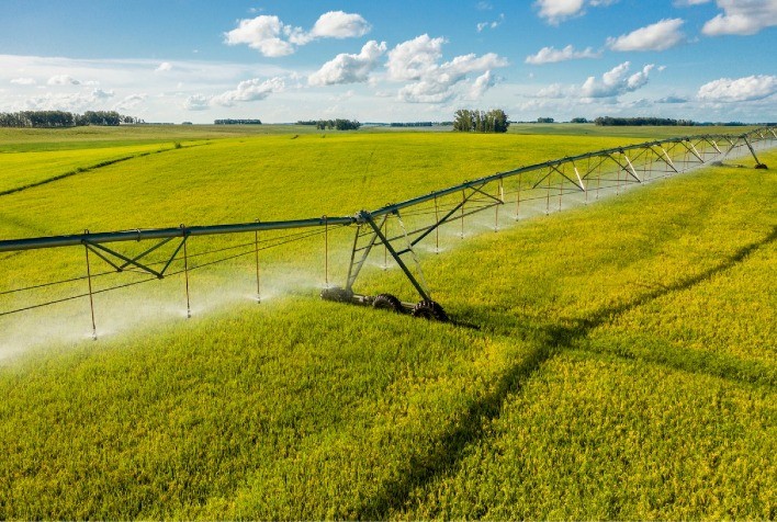 Irrigação inteligente no campo é caminho para aumento da produtividade agrícola