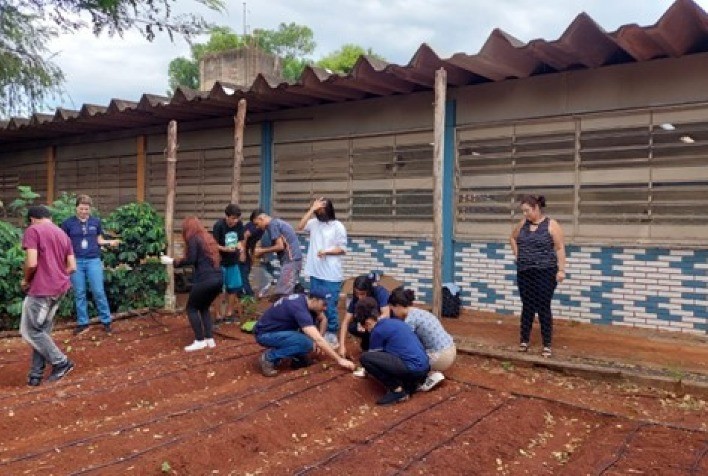 Escolas de Ribeirão Preto ganham hortas com sistema de irrigação por gotejamento