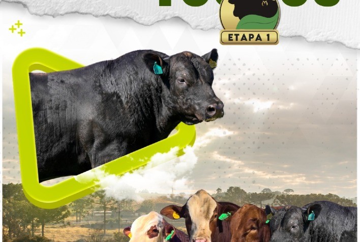 Fazenda 3 Marias Agronegócios levará touros de alta qualidade às pistas