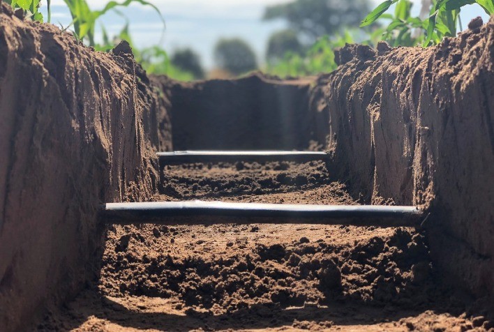 Variáveis climáticas e suas implicações na agricultura: Influência da temperatura nas plantas