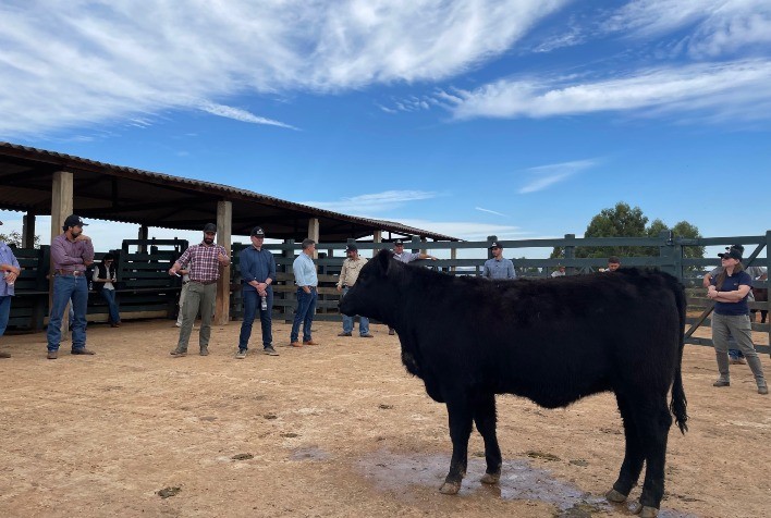 Ultrablack credencia novos técnicos e confirma expansão