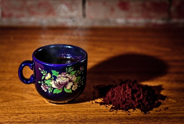 Borra de café para adubar as plantas: confira como deve ser usado!