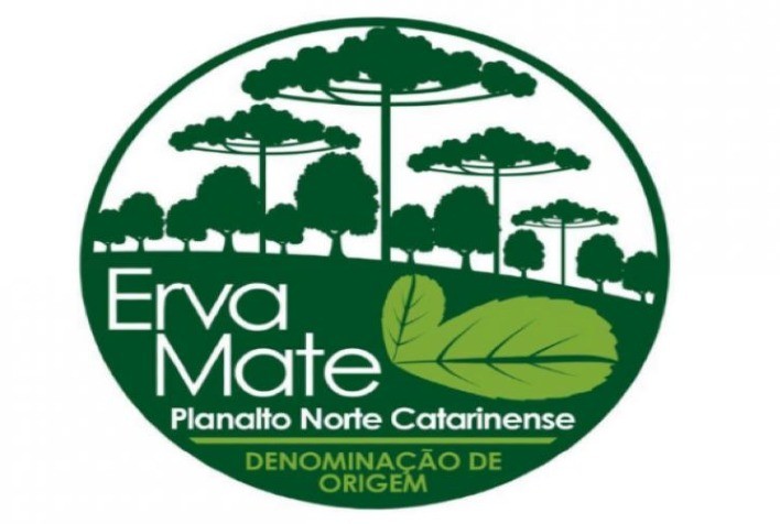 Faesc comemora reconhecimento de Indicação Geográfica da erva-mate do norte catarinense