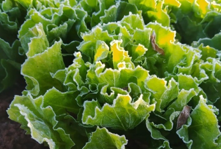 Chegada do inverno preocupa produtores rurais