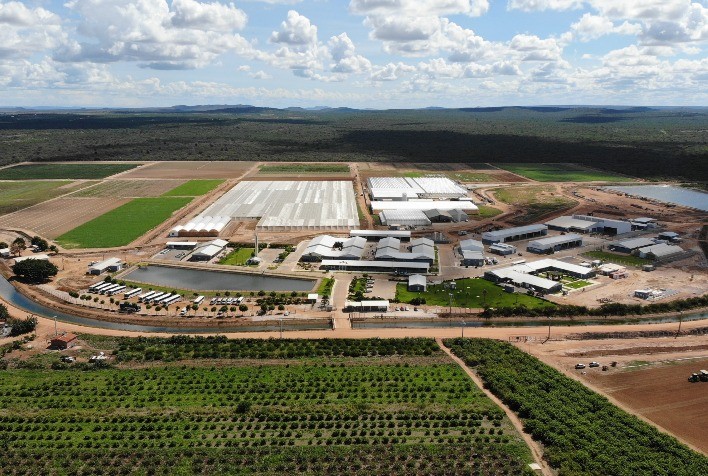Bayer investe 24 milhões de euros e expande centro de inovação em Petrolina (PE)