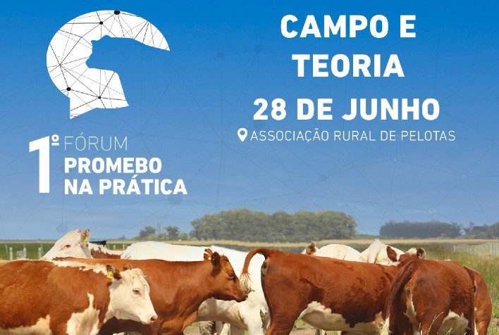Seleção de animais por dados de carcaça será destaque no 1º Fórum Promebo na Prática