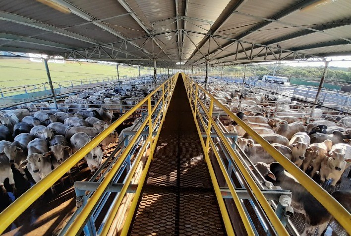 Nelore anuncia 32 etapas da 24ª edição do Circuito Nelore de Qualidade