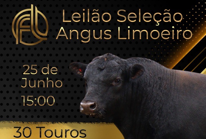 Angus Limoeiro ofertará touros superiores para Índice Final do Promebo