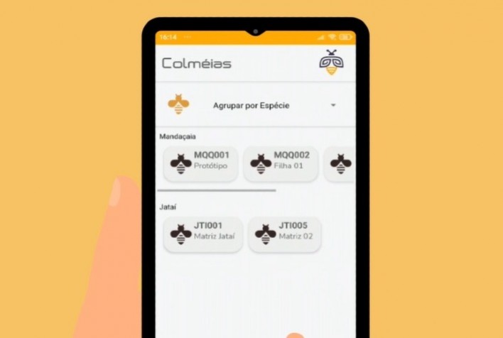 Aplicativo voltado para a gestão de meliponários vence concurso nacional de inovação e empreendedorismo universitário