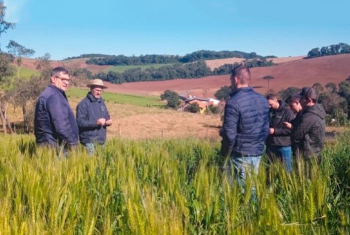 Novas tecnologias de produção com forrageiras no inverno trazem resultados a produtores de leite em Serafina Corrêa/MT