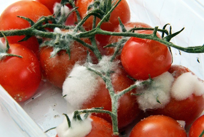 Qual o papel da logística na prevenção de doenças causadas por alimentos contaminados?