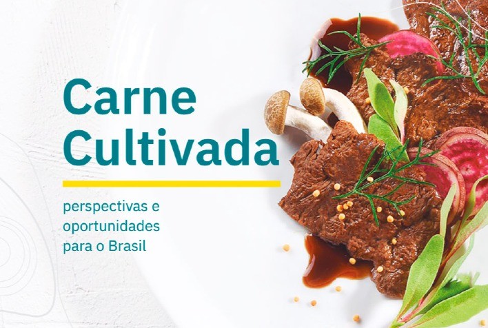 GFI Brasil apresenta panorama sobre a indústria de carne cultivada em publicação inédita