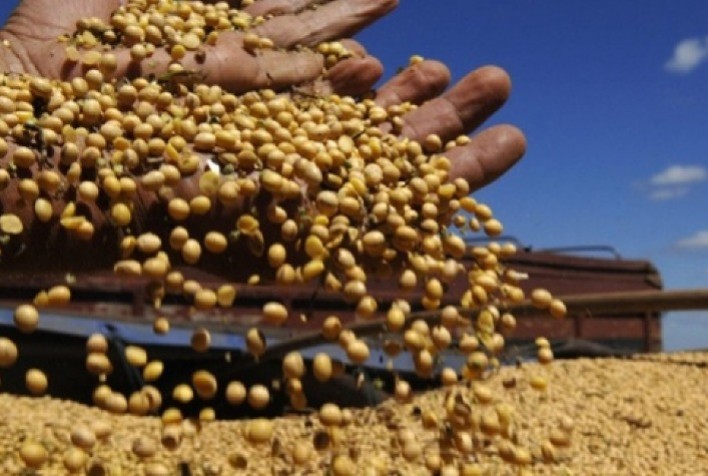 Embrapa apresenta tecnologia para classificação da qualidade de grãos de soja