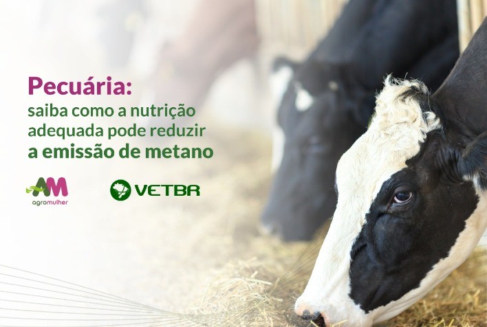 Pecuária: saiba como a nutrição adequada pode reduzir a emissão de metano