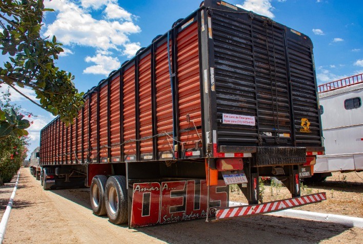Seapdr orienta pecuaristas gaúchos sobre normas para ingresso de gado em Santa Catarina