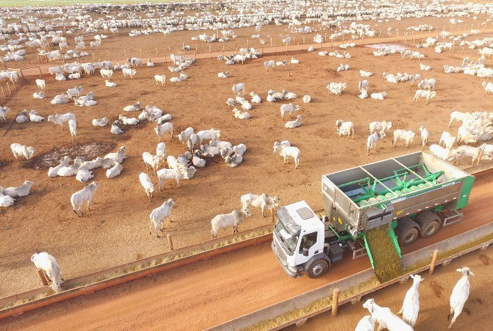 Diária do confinamento: ponto de equilíbrio