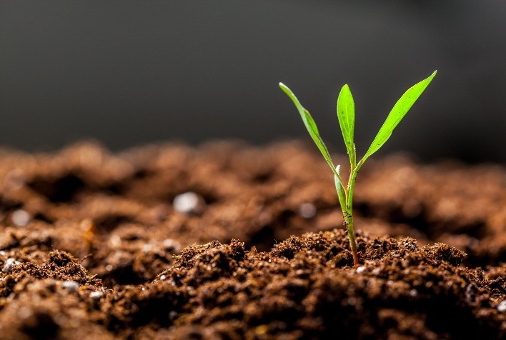 Uso de fertilizantes microbianos cresce no mundo