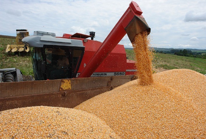 Congresso Nacional de Milho e Sorgo: fertilizantes e futuro de commodities em debate por especialistas