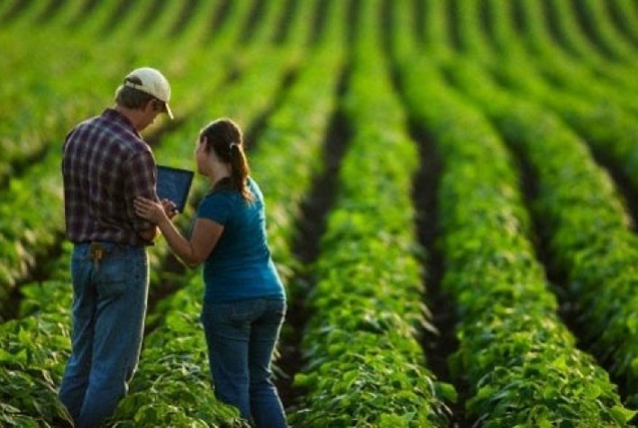 Holding agropecuária: segurança patrimonial e sucessória aos produtores rurais