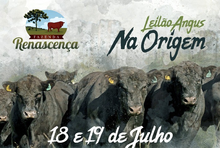 Renascença ofertará reprodutores Angus e Ultrablack em leilão virtual