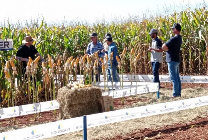Modelo inovador de negócios encurta cadeia de vendas no campo