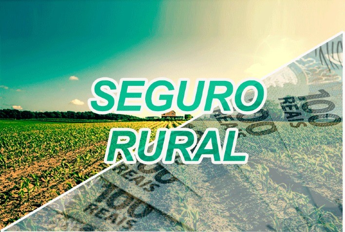 Seguro rural tem oferta escassa para a safra 2022/23