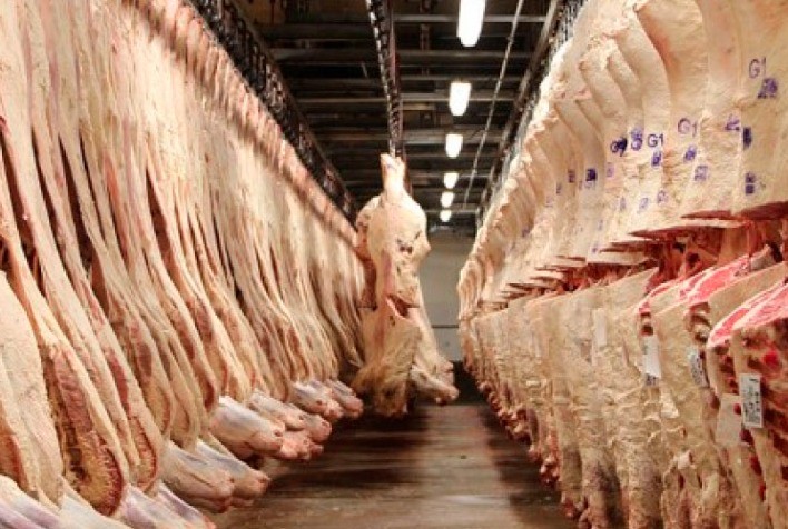 Minerva faz primeiro embarque de carne in natura do Brasil para o Canadá