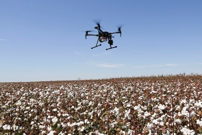 Inovação no campo: cresce a adoção de ferramentas de mapeamento e monitoramento em lavouras de algodão, nas regiões Norte e Nordeste do Brasil