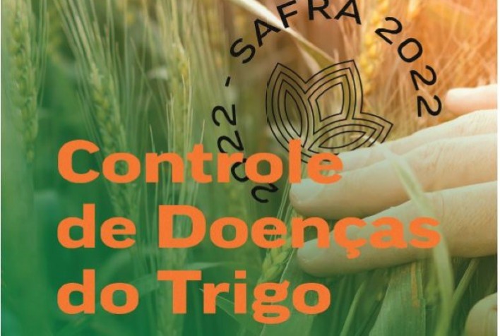 Safra de inverno: Livro de pesquisadores foca no manejo das doenças do trigo