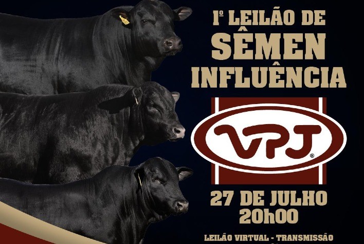 VPJ Pecuária promoverá 1º Leilão de Sêmen Influência para programa de resultados