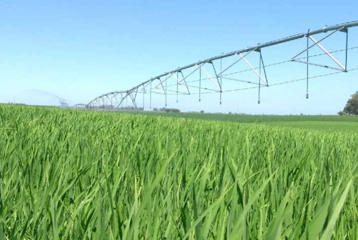 Corteva Agriscience destaca Boas Práticas Agrícolas no XII Congresso Brasileiro do Arroz Irrigado