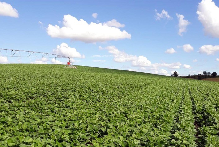 Projeto de irrigação diversifica fazenda e inspira produtores no RS