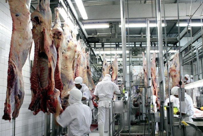 MT fecha 1º semestre com alta de 5,22% em abates de bovinos