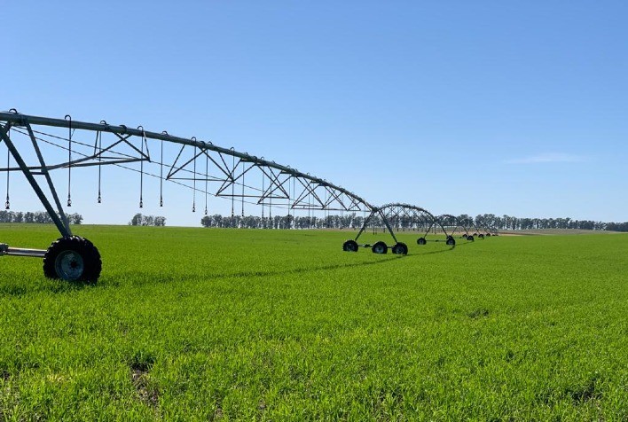 Pesquisa define melhor período para plantio do arroz irrigado no TO