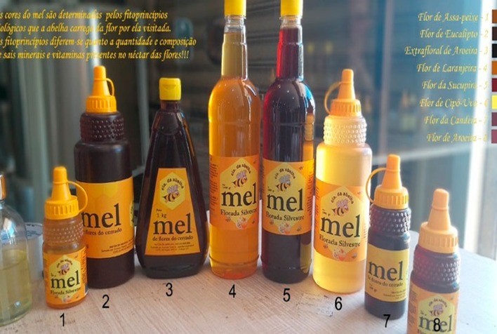 Mel de abelha: entenda sobre as variações de cores, sabores e propriedades