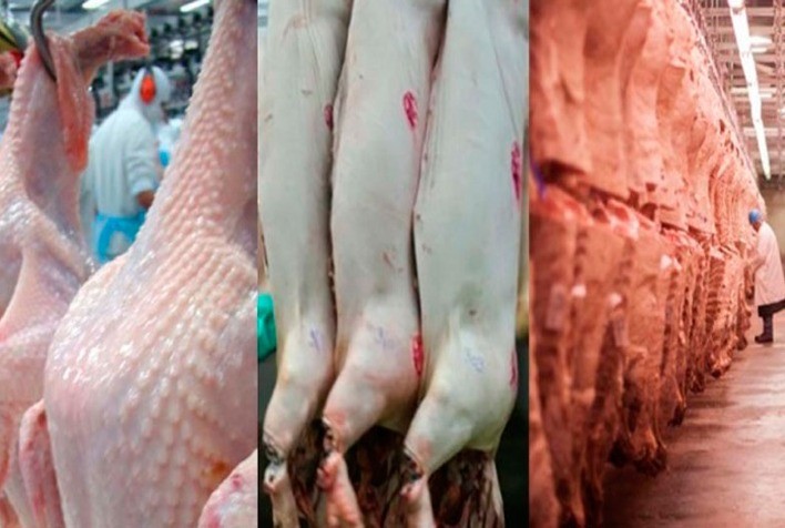 Desempenho exportador das carnes em julho de 2022