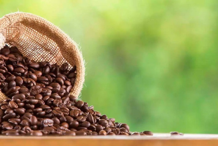 Expocaccer exporta o primeiro café com certificação de agricultura regenerativa do mundo