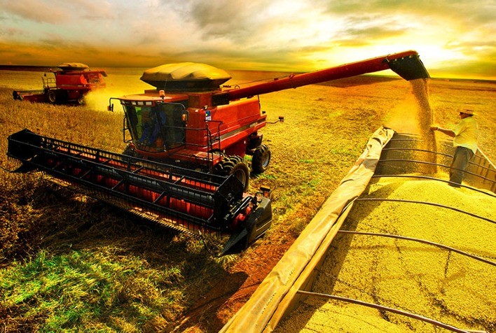 A safra futura do produtor rural pode ser considerada bem essencial em caso de recuperação judicial?