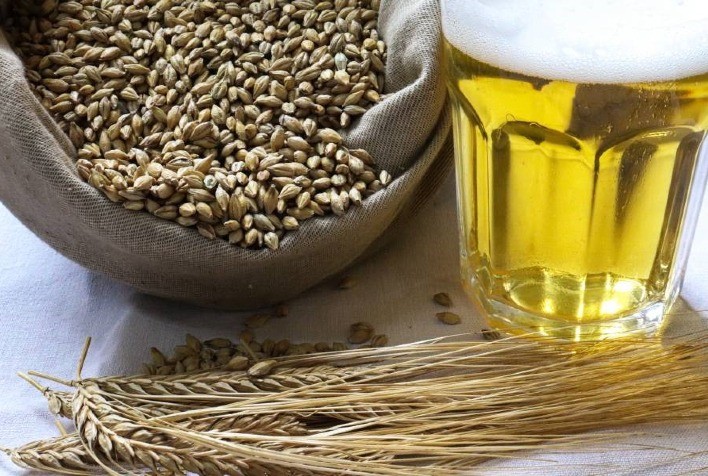 Pesquisadores discutem como superar os desafios da produção de cevada no Brasil