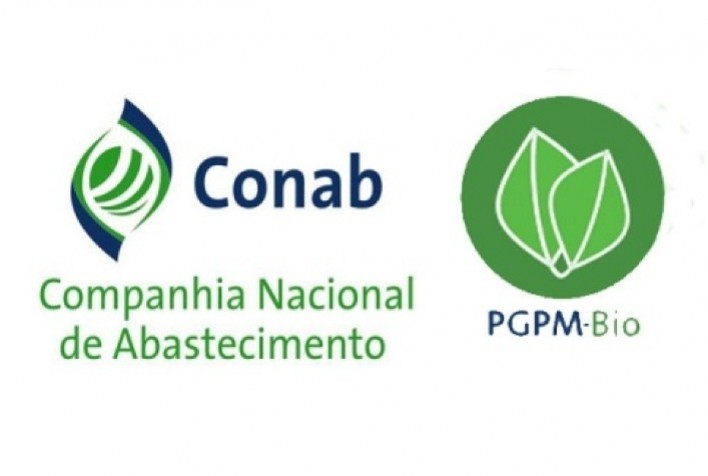 Conab avalia documentação de extrativistas para operações da PGPM-Bio