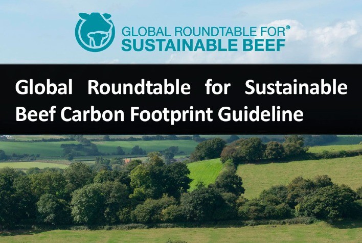 Pesquisadora internacional apresenta diretrizes para medir pegada de carbono da carne