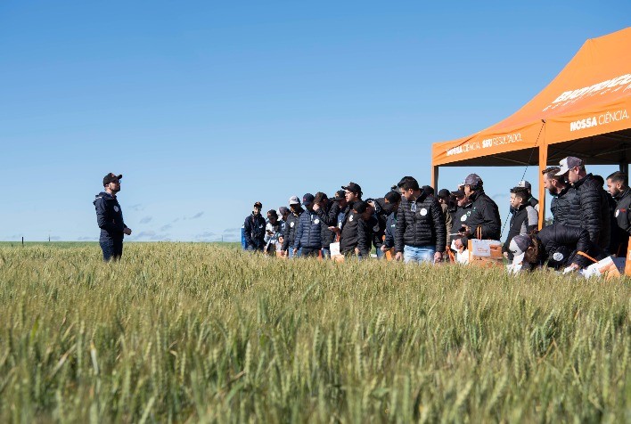 Novas tecnologias em busca de mais rendimento e segurança na cultura do trigo