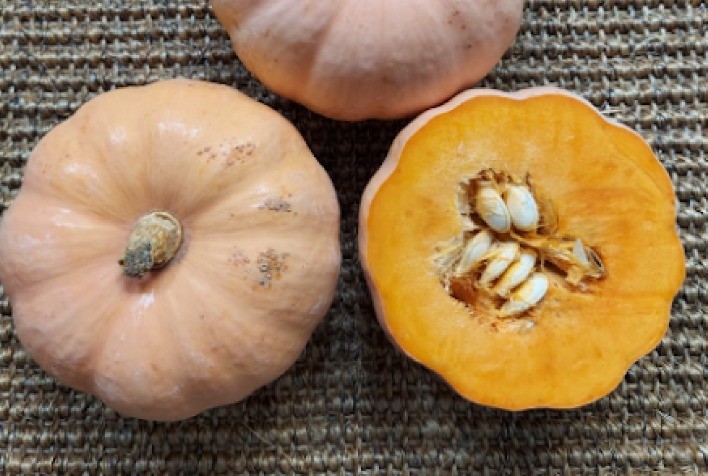 Abóbora cabotiá tem nova regra de exportação