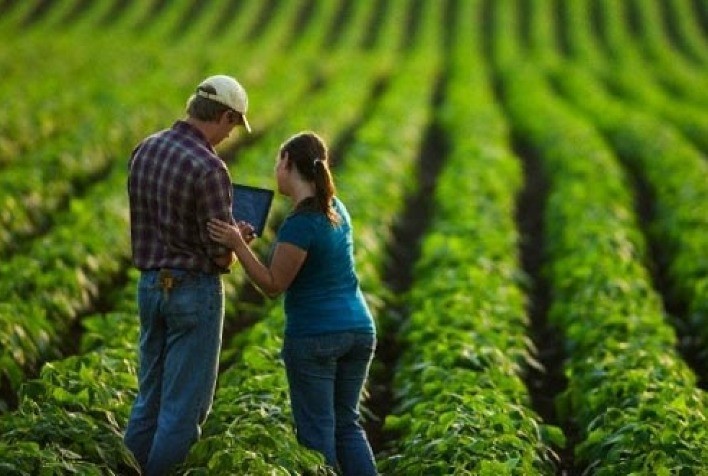 Agronegócio gera mais de 80 mil empregos em 2022