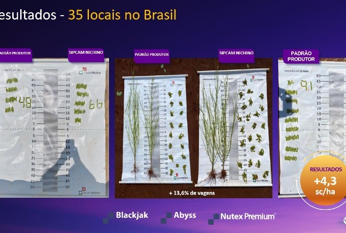 Da raiz ao fruto: Mais de 140 trabalhos a campo respaldam desempenho de nova plataforma de bioestimulantes