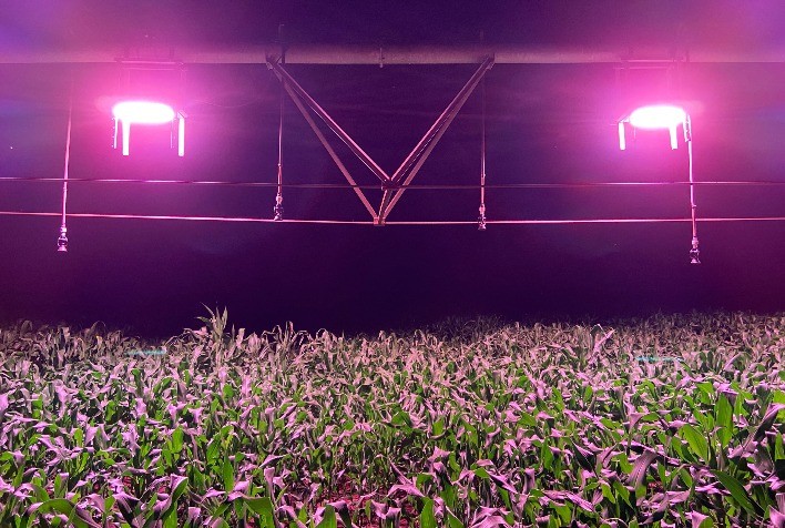 Nortel anuncia entrada no agro com solução para suplementação luminosa em parceria com a Signify (Philips) e Esalq/USP