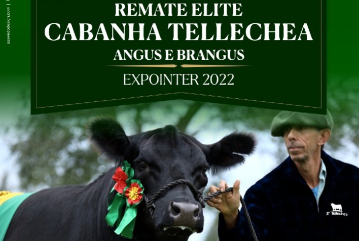 Cabanha Tellechea ofertará animais de elite na Expointer